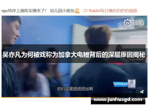 吴亦凡为何被戏称为加拿大电鳗背后的深层原因揭秘